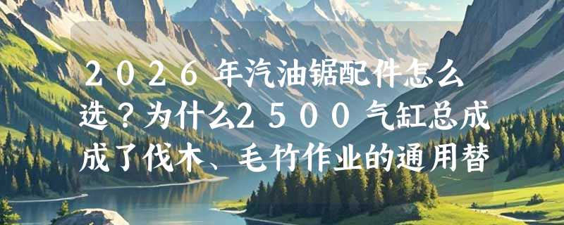 2026年汽油锯配件怎么选？为什么2500气缸总成成了伐木、毛竹作业的通用替换核心？