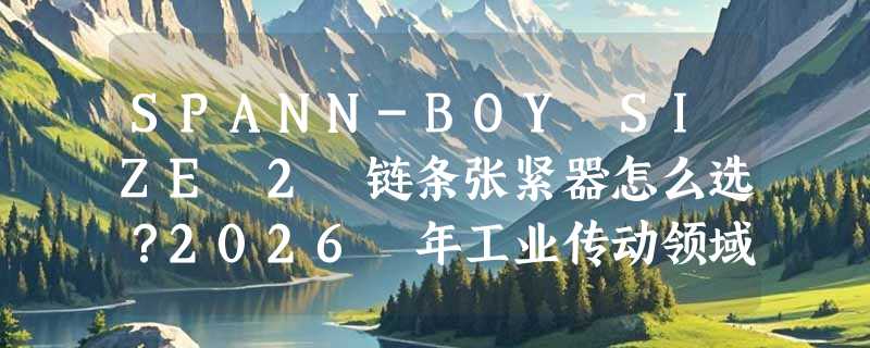SPANN-BOY SIZE 2 链条张紧器怎么选？2026 年工业传动领域为何更关注材质适配与型号分级？