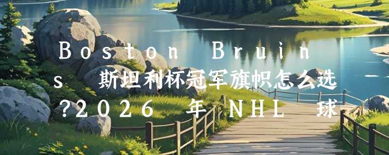 Boston Bruins 斯坦利杯冠军旗帜怎么选？2026 年 NHL 球迷装饰海报有哪些新趋势？