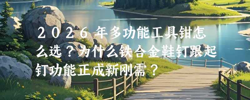 2026年多功能工具钳怎么选？为什么铁合金鞋钉跟起钉功能正成新刚需？