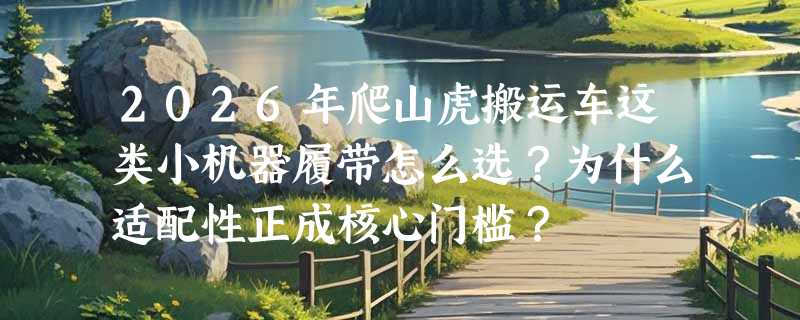 2026年爬山虎搬运车这类小机器履带怎么选？为什么适配性正成核心门槛？