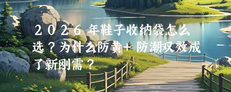 2026年鞋子收纳袋怎么选？为什么防黄+防潮双效成了新刚需？