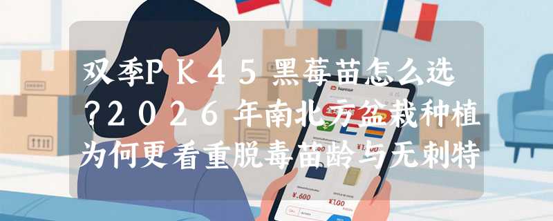 双季PK45黑莓苗怎么选？2026年南北方盆栽种植为何更看重脱毒苗龄与无刺特性？