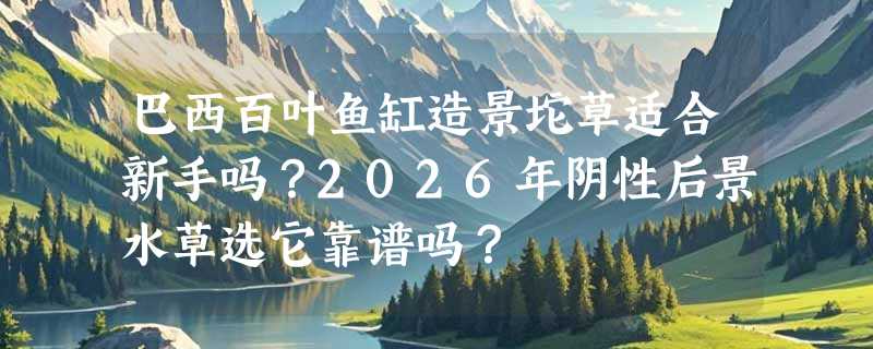 巴西百叶鱼缸造景坨草适合新手吗？2026年阴性后景水草选它靠谱吗？