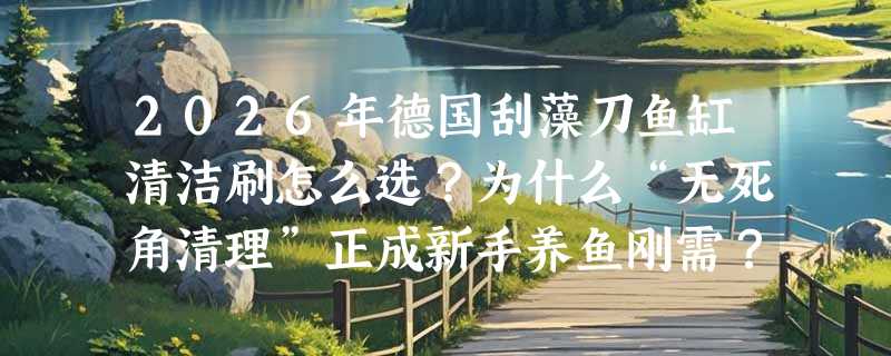 2026年德国刮藻刀鱼缸清洁刷怎么选？为什么“无死角清理”正成新手养鱼刚需？
