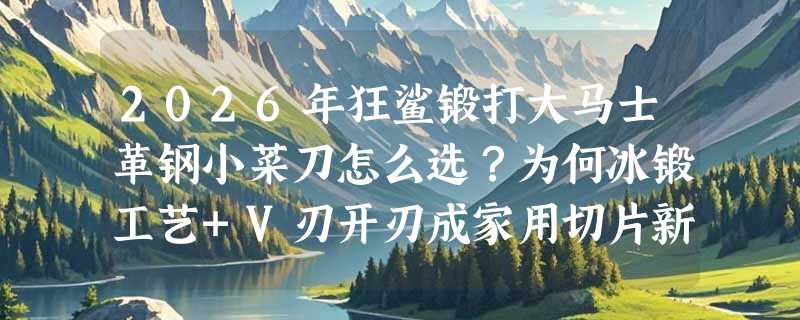 2026年狂鲨锻打大马士革钢小菜刀怎么选？为何冰锻工艺+V刃开刃成家用切片新基准？