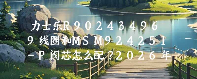 力士乐R902434969线圈和MSM924251-P阀芯怎么配？2026年原厂件识别与替代逻辑有何新变化？
