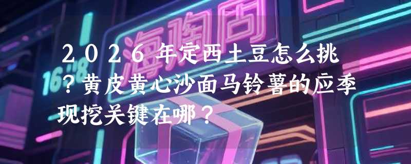 2026年定西土豆怎么挑？黄皮黄心沙面马铃薯的应季现挖关键在哪？
