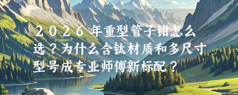 2026年重型管子钳怎么选？为什么含钛材质和多尺寸型号成专业师傅新标配？
