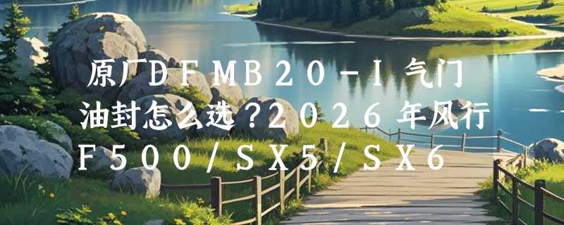 原厂DFMB20-I气门油封怎么选？2026年风行F500/SX5/SX6 2.0L车型适配关键在哪？