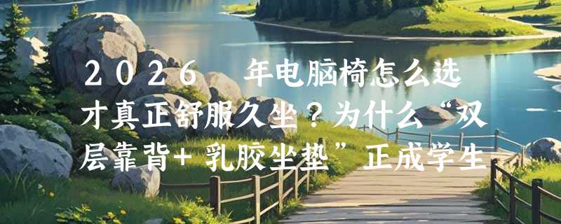 2026 年电脑椅怎么选才真正舒服久坐？为什么“双层靠背+乳胶坐垫”正成学生党和居家办公族新标配？