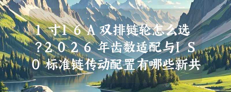 1寸16A双排链轮怎么选？2026年齿数适配与ISO标准链传动配置有哪些新共识？