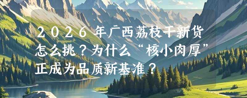 2026年广西荔枝干新货怎么挑？为什么“核小肉厚”正成为品质新基准？