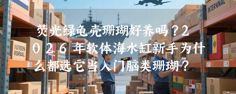 荧光绿龟壳珊瑚好养吗？2026年软体海水缸新手为什么都选它当入门脑类珊瑚？