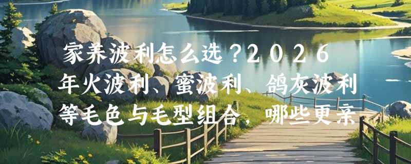 家养波利怎么选？2026年火波利、蜜波利、鸽灰波利等毛色与毛型组合，哪些更亲人易养？