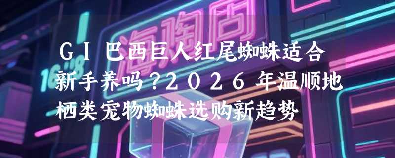 GI巴西巨人红尾蜘蛛适合新手养吗？2026年温顺地栖类宠物蜘蛛选购新趋势