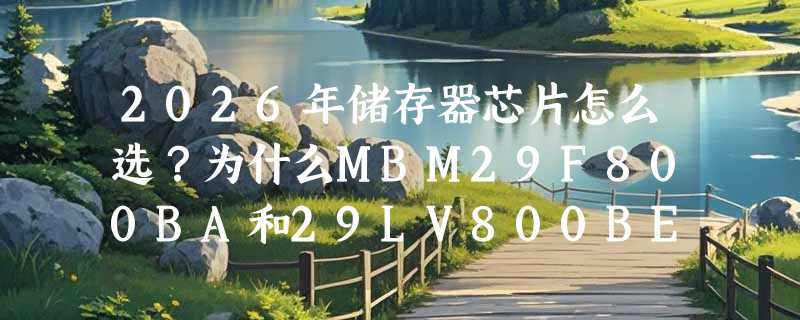 2026年储存器芯片怎么选？为什么MBM29F800BA和29LV800BE成了工业升级的代烧录首选？