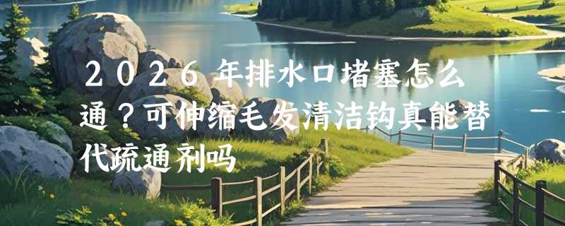 2026年排水口堵塞怎么通？可伸缩毛发清洁钩真能替代疏通剂吗