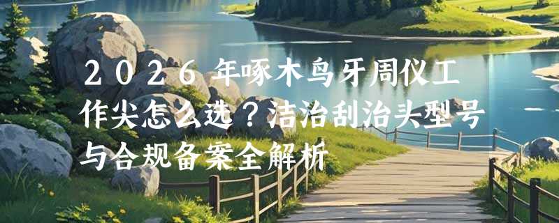 2026年啄木鸟牙周仪工作尖怎么选？洁治刮治头型号与合规备案全解析