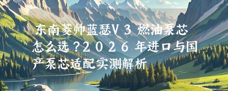 东南菱帅蓝瑟V3燃油泵芯怎么选？2026年进口与国产泵芯适配实测解析
