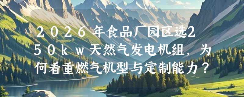 2026年食品厂园区选250kw天然气发电机组，为何看重燃气机型与定制能力？