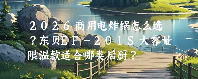 2026商用电炸锅怎么选？东贝EF-201S大容量限温款适合哪类后厨？