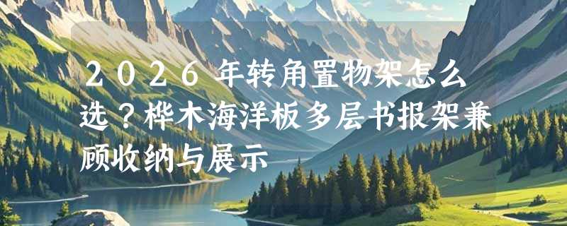 2026年转角置物架怎么选？桦木海洋板多层书报架兼顾收纳与展示