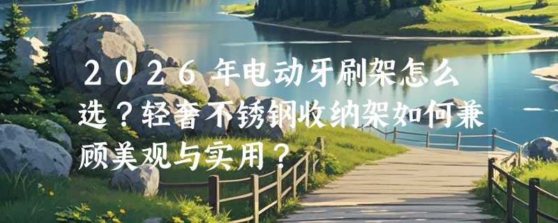 2026年电动牙刷架怎么选？轻奢不锈钢收纳架如何兼顾美观与实用？