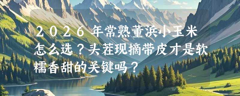 2026年常熟董浜小玉米怎么选？头茬现摘带皮才是软糯香甜的关键吗？