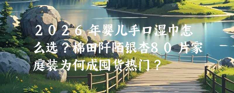 2026年婴儿手口湿巾怎么选？棉田阡陌银杏80片家庭装为何成囤货热门？