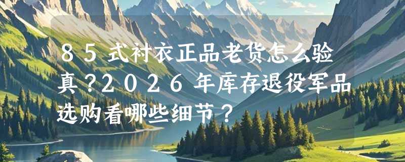 85式衬衣正品老货怎么验真？2026年库存退役军品选购看哪些细节？