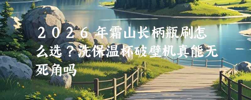 2026年霜山长柄瓶刷怎么选？洗保温杯破壁机真能无死角吗