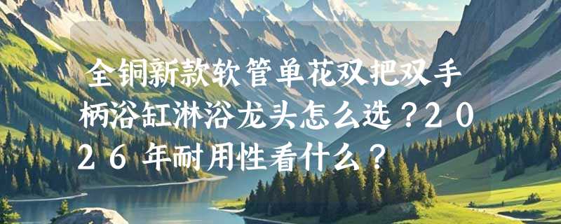全铜新款软管单花双把双手柄浴缸淋浴龙头怎么选？2026年耐用性看什么？