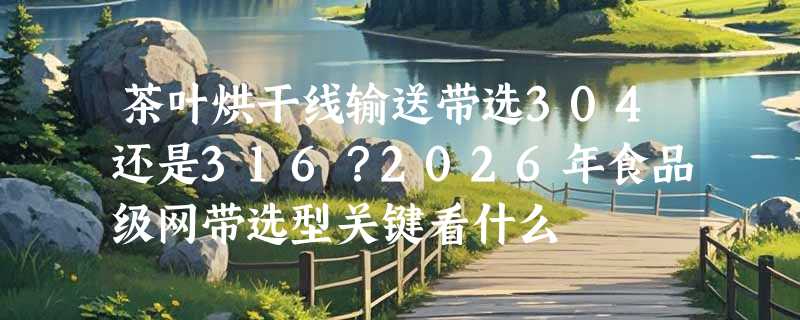 茶叶烘干线输送带选304还是316？2026年食品级网带选型关键看什么
