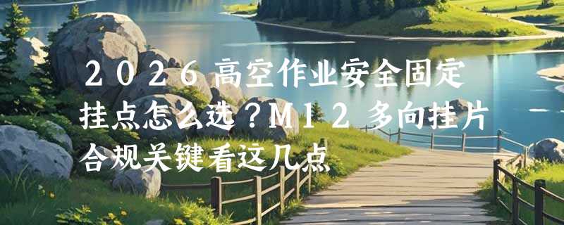 2026高空作业安全固定挂点怎么选？M12多向挂片合规关键看这几点