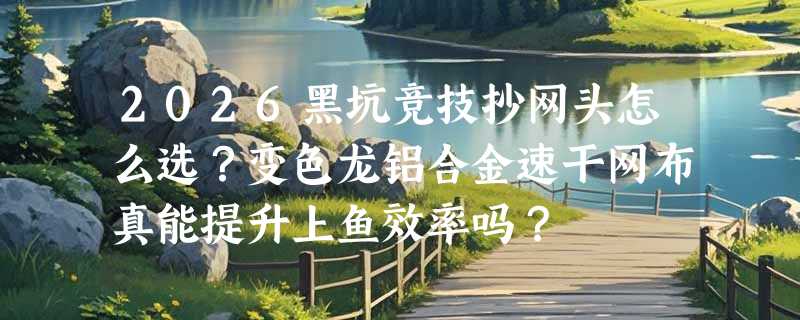 2026黑坑竞技抄网头怎么选？变色龙铝合金速干网布真能提升上鱼效率吗？