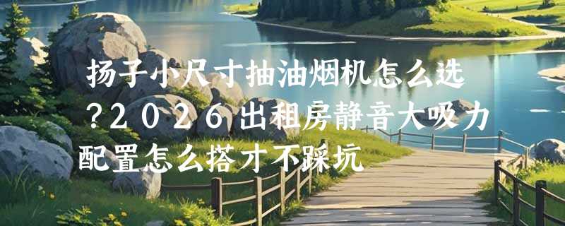 扬子小尺寸抽油烟机怎么选？2026出租房静音大吸力配置怎么搭才不踩坑