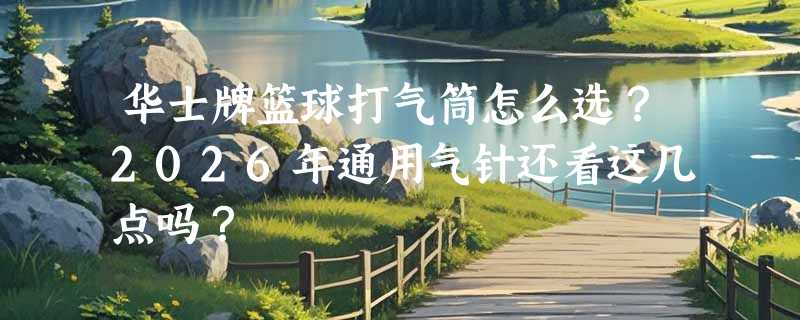 华士牌篮球打气筒怎么选？2026年通用气针还看这几点吗？