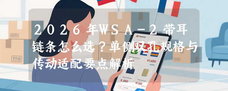 2026年WSA-2带耳链条怎么选？单侧双孔规格与传动适配要点解析
