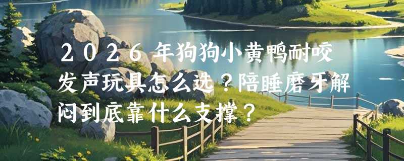 2026年狗狗小黄鸭耐咬发声玩具怎么选？陪睡磨牙解闷到底靠什么支撑？