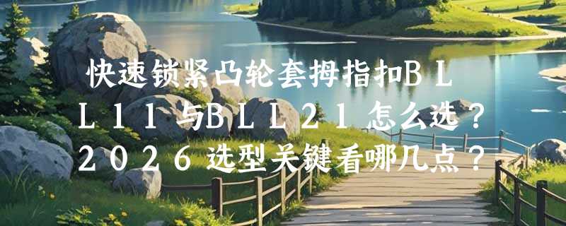 快速锁紧凸轮套拇指扣BLL11与BLL21怎么选？2026选型关键看哪几点？