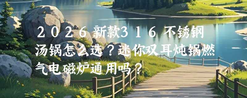 2026新款316不锈钢汤锅怎么选？迷你双耳炖锅燃气电磁炉通用吗？