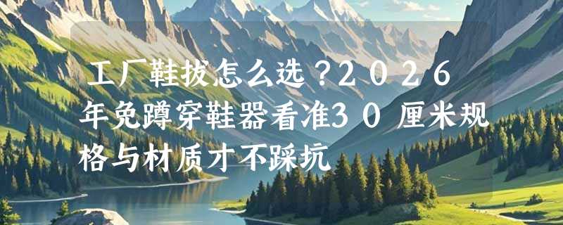 工厂鞋拔怎么选？2026年免蹲穿鞋器看准30厘米规格与材质才不踩坑