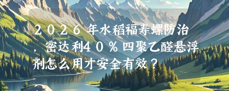 2026年水稻福寿螺防治，密达利40%四聚乙醛悬浮剂怎么用才安全有效？