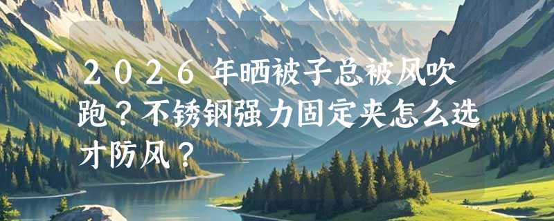 2026年晒被子总被风吹跑？不锈钢强力固定夹怎么选才防风？