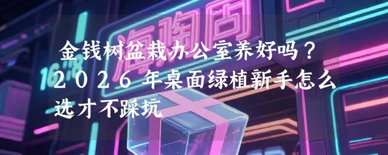金钱树盆栽办公室养好吗？2026年桌面绿植新手怎么选才不踩坑