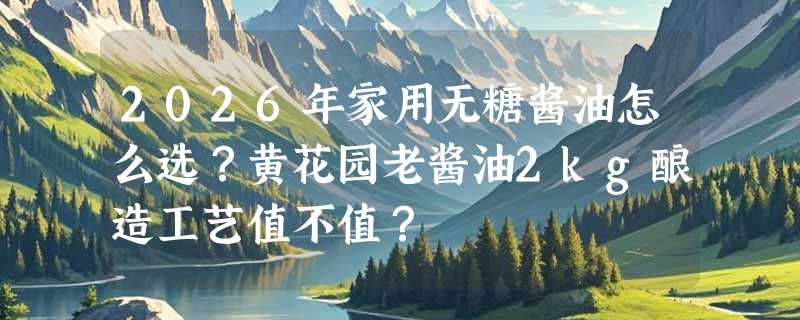 2026年家用无糖酱油怎么选？黄花园老酱油2kg酿造工艺值不值？