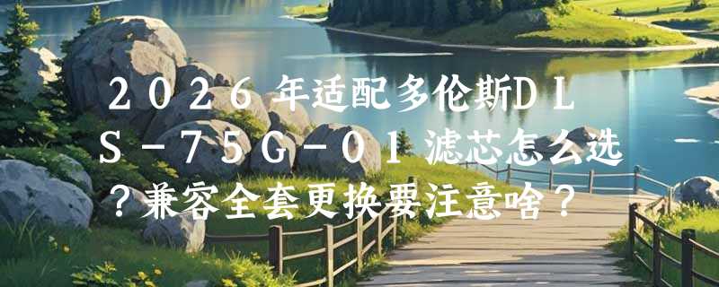 2026年适配多伦斯DLS-75G-01滤芯怎么选？兼容全套更换要注意啥？
