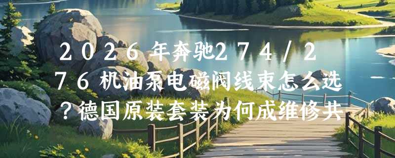 2026年奔驰274/276机油泵电磁阀线束怎么选？德国原装套装为何成维修共识？