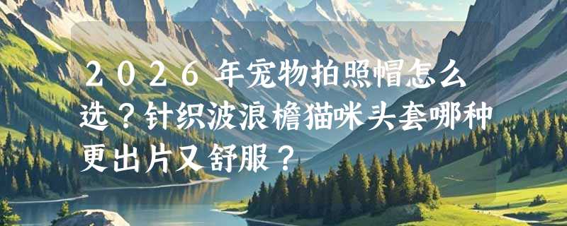 2026年宠物拍照帽怎么选？针织波浪檐猫咪头套哪种更出片又舒服？